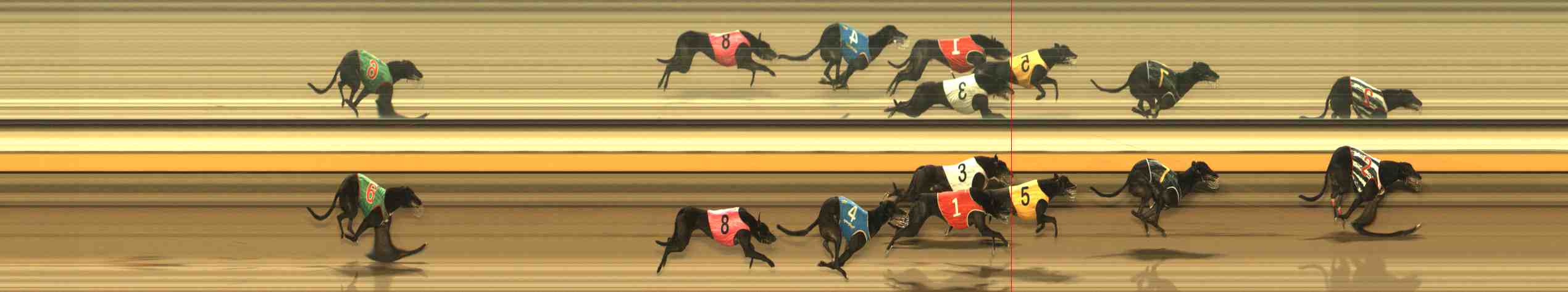 Photo finish for Warrnambool Race 13