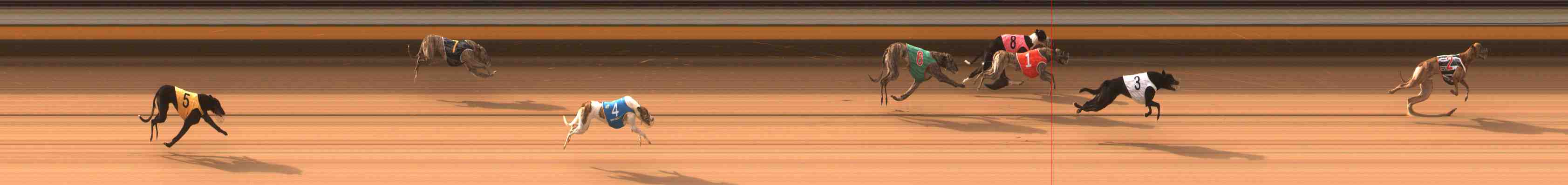 Photo finish for Warrnambool Race 1
