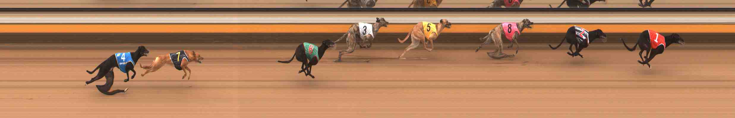 Photo finish for Warrnambool Race 2