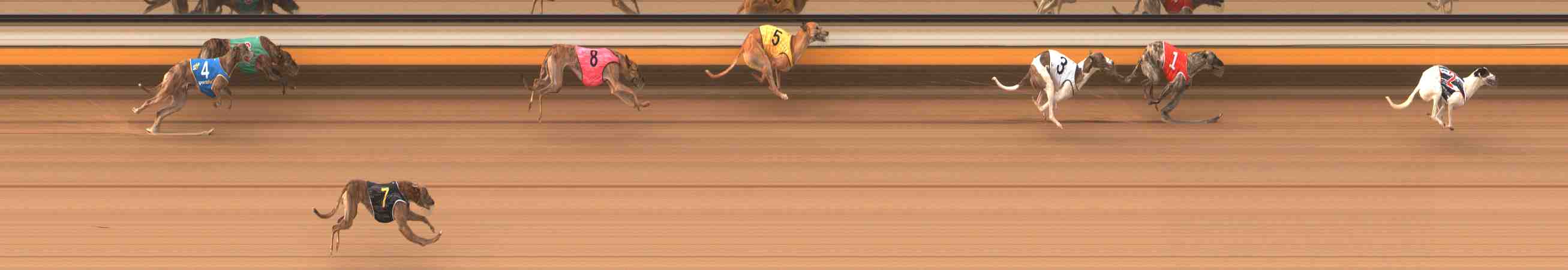 Photo finish for Warrnambool Race 5