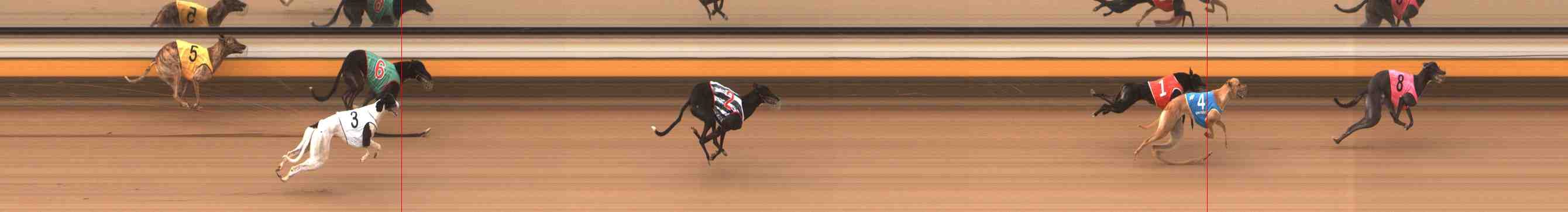 Photo finish for Warrnambool Race 6