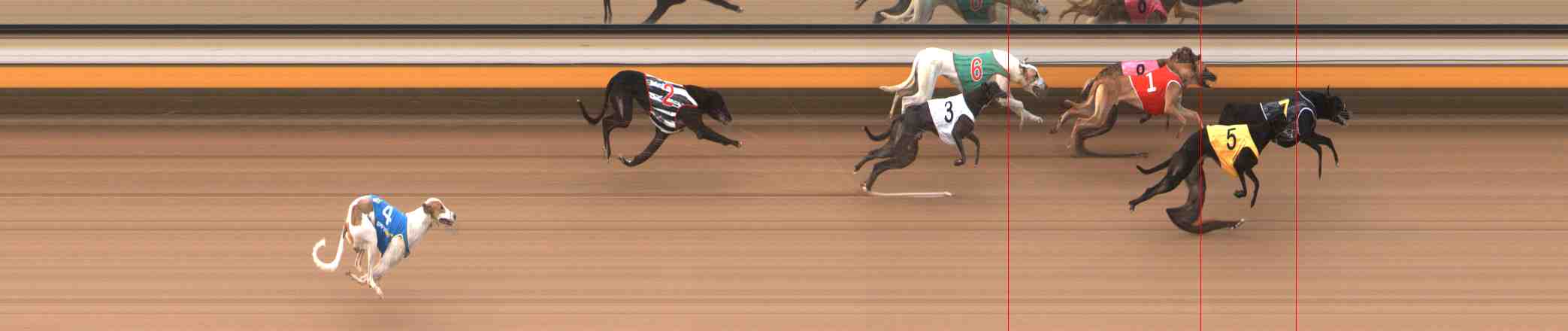Photo finish for Warrnambool Race 7
