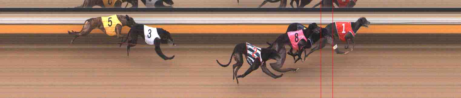Photo finish for Warrnambool Race 8