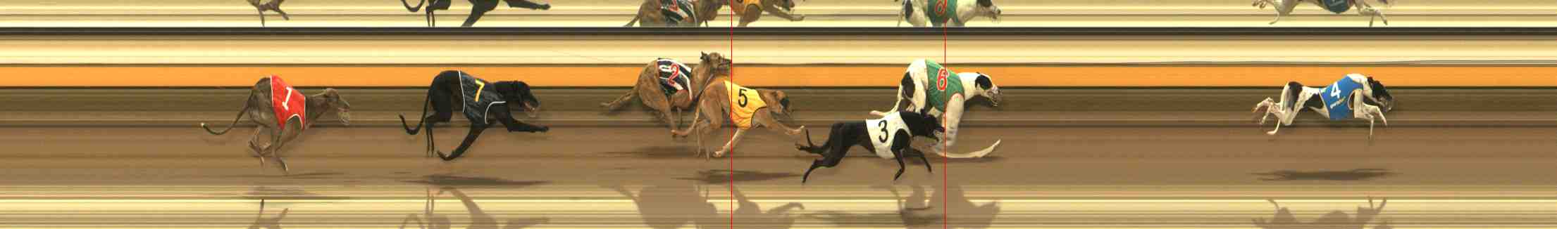 Photo finish for Warrnambool Race 9