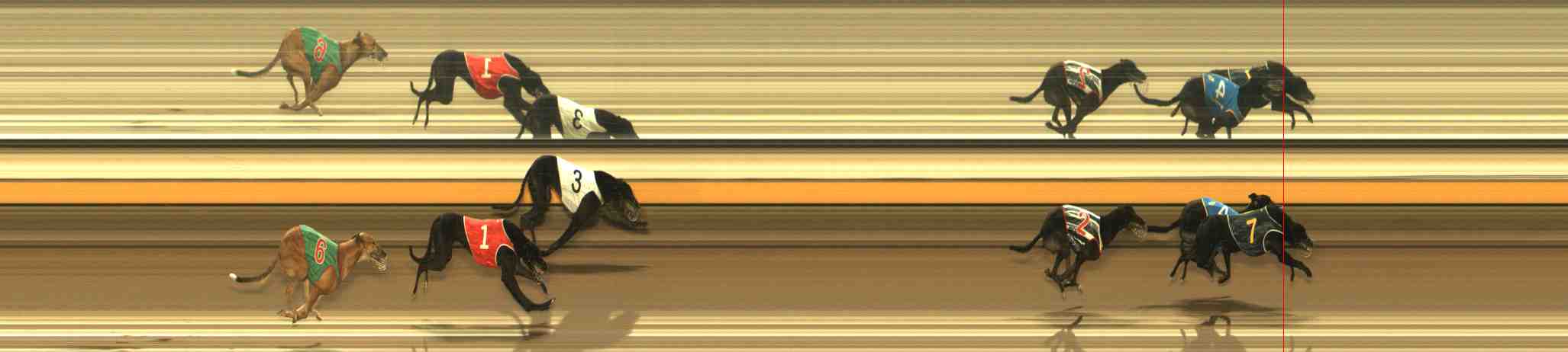 Photo finish for Warrnambool Race 10