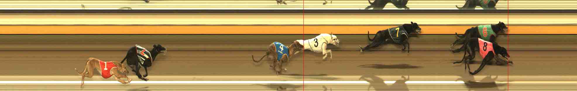 Photo finish for Warrnambool Race 11
