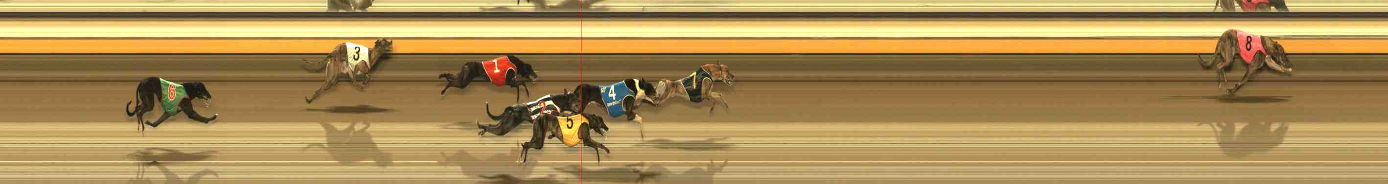 Photo finish for Warrnambool Race 12