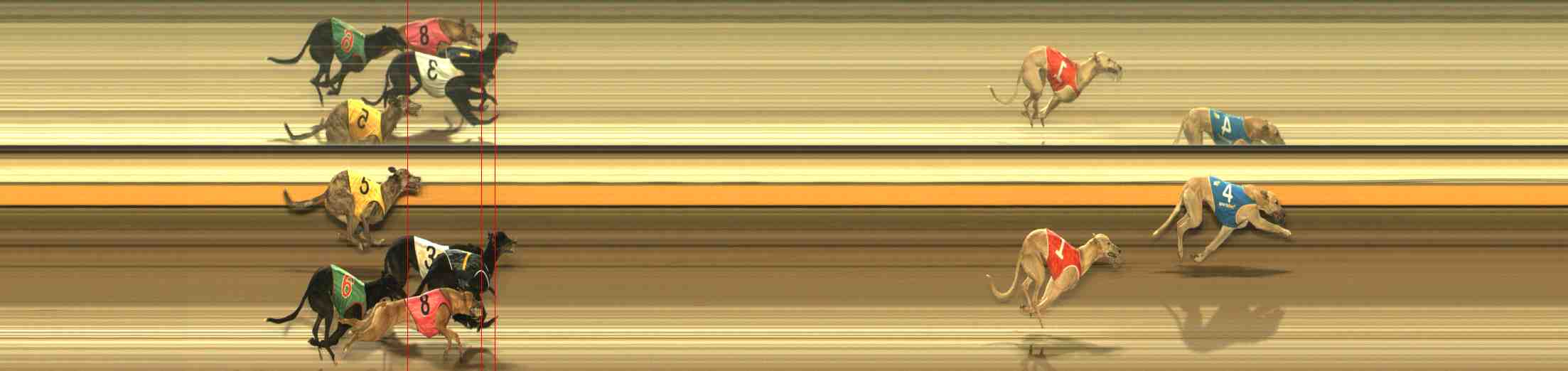 Photo finish for Warrnambool Race 13