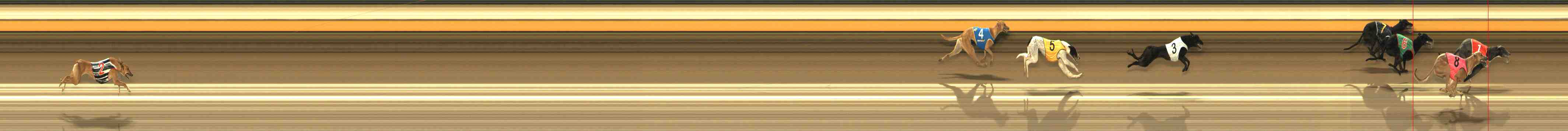 Photo finish for Warrnambool Race 1