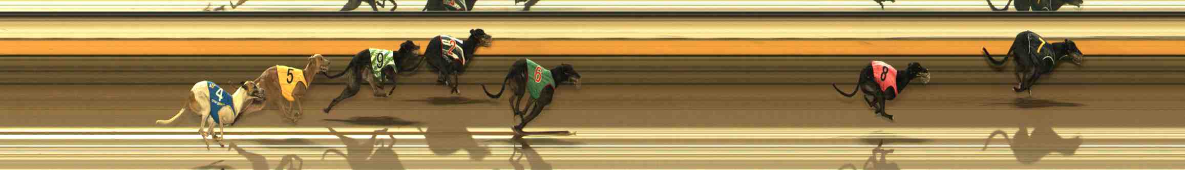 Photo finish for Warrnambool Race 2