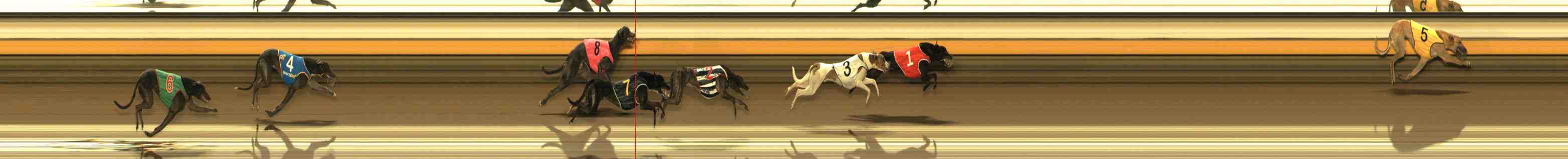 Photo finish for Warrnambool Race 3