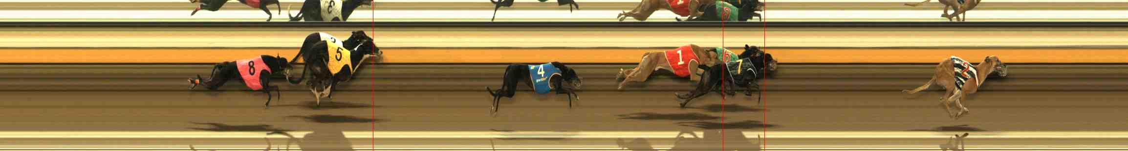 Photo finish for Warrnambool Race 4