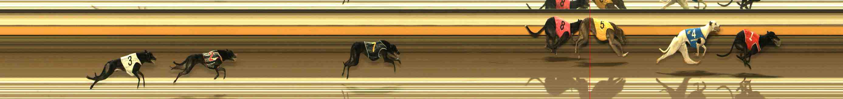 Photo finish for Warrnambool Race 5