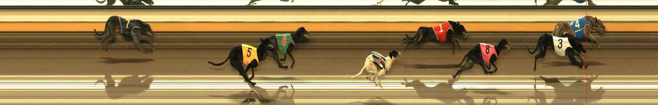 Photo finish for Warrnambool Race 6