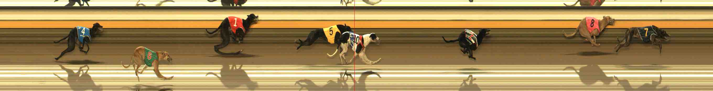 Photo finish for Warrnambool Race 7