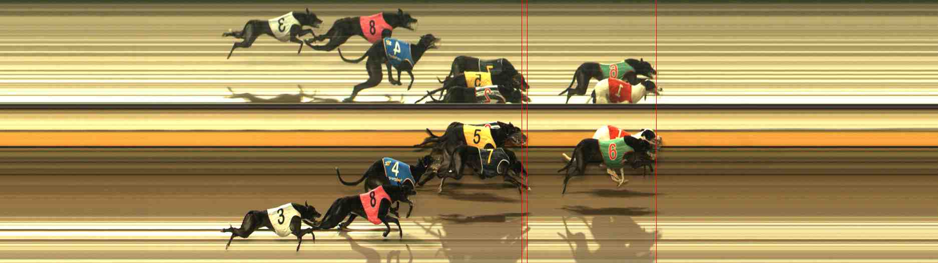 Photo finish for Warrnambool Race 8