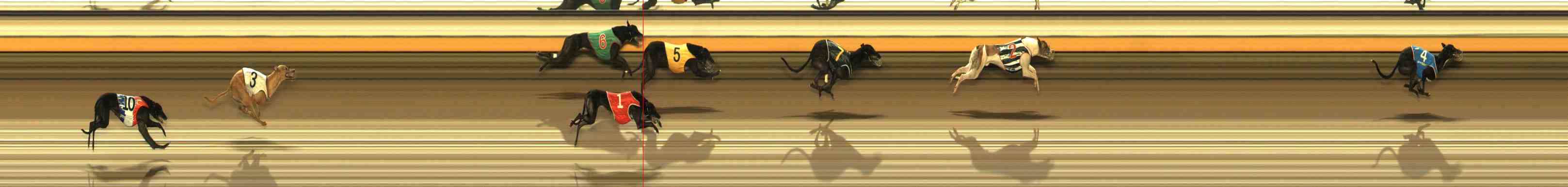 Photo finish for Warrnambool Race 9
