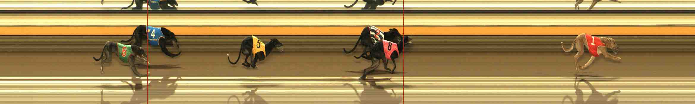 Photo finish for Warrnambool Race 10