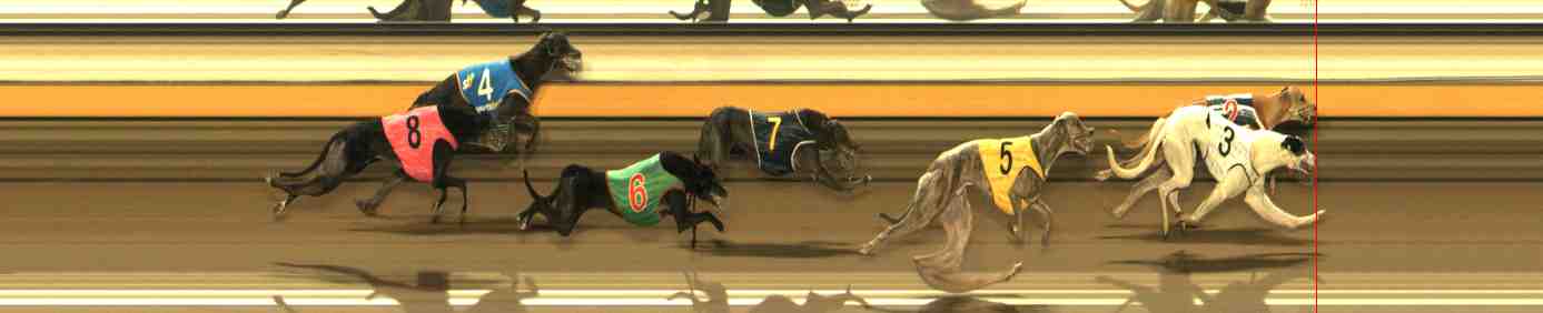 Photo finish for Warrnambool Race 11