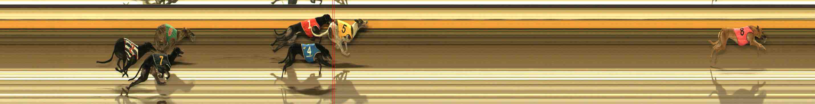 Photo finish for Warrnambool Race 12