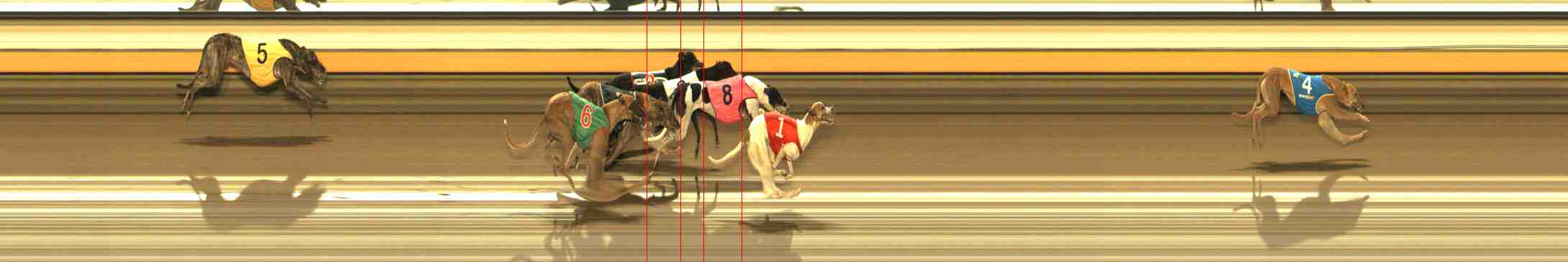 Photo finish for Warrnambool Race 13