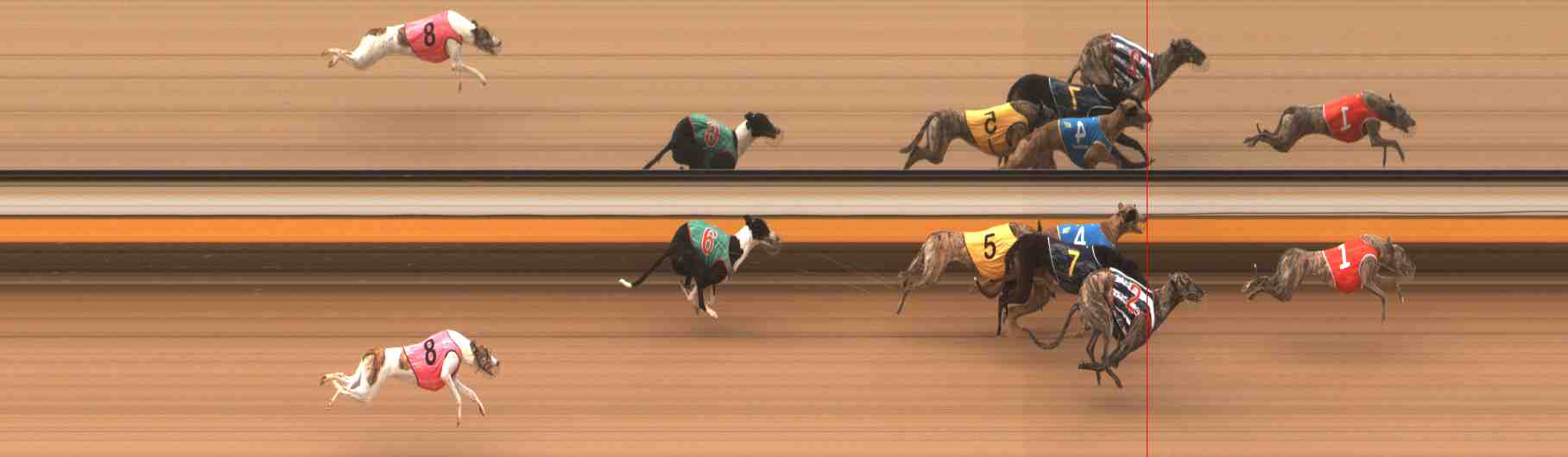 Photo finish for Warrnambool Race 1