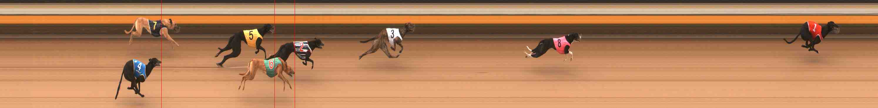 Photo finish for Warrnambool Race 2