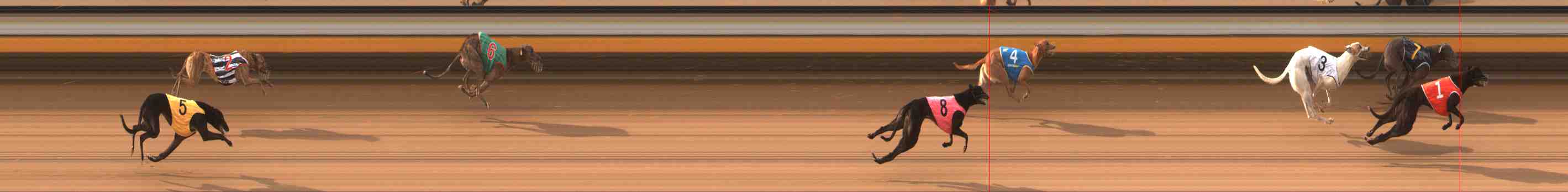 Photo finish for Warrnambool Race 3
