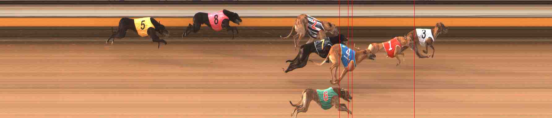 Photo finish for Warrnambool Race 5