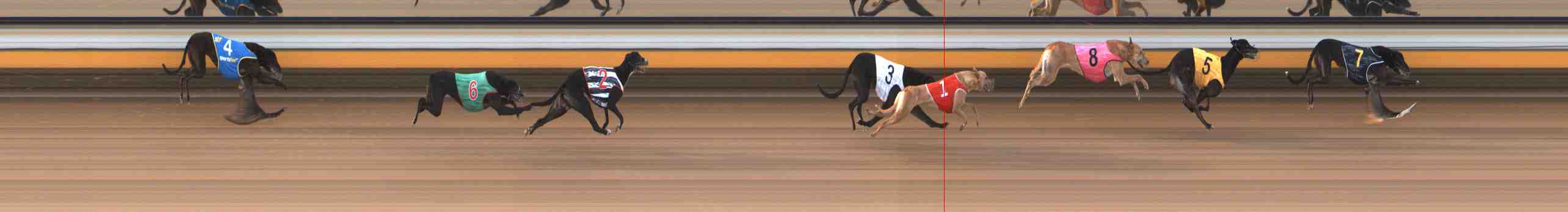 Photo finish for Warrnambool Race 6