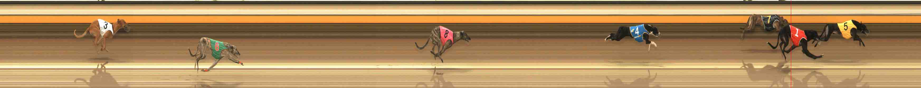 Photo finish for Warrnambool Race 7