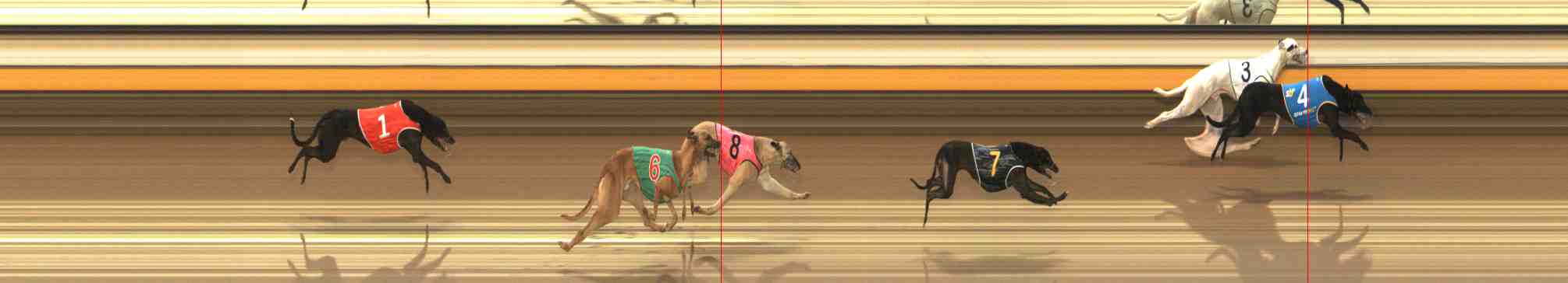 Photo finish for Warrnambool Race 8