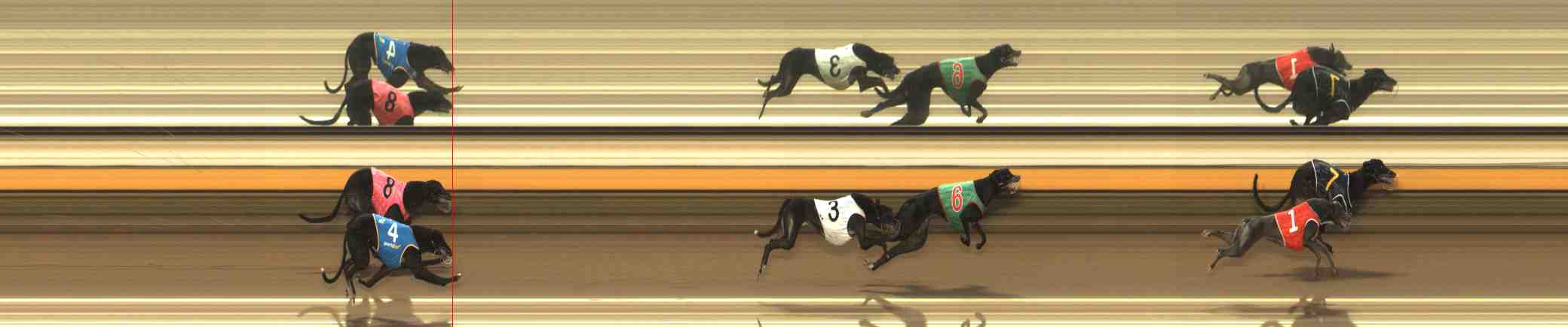 Photo finish for Warrnambool Race 9