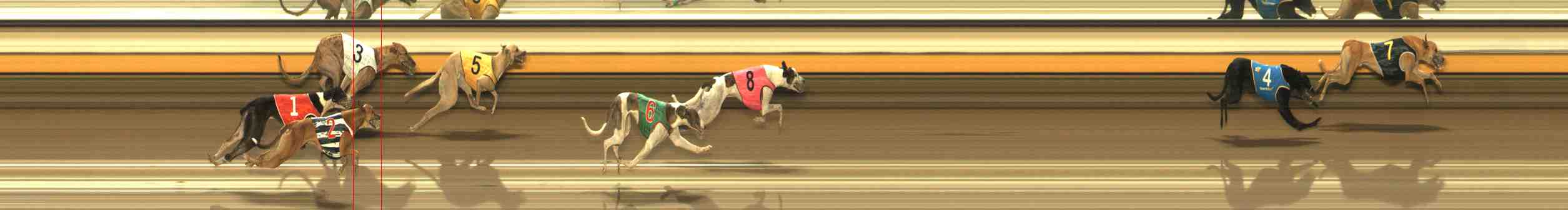 Photo finish for Warrnambool Race 10