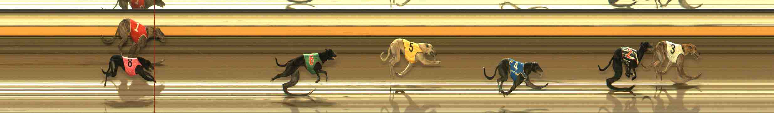 Photo finish for Warrnambool Race 11