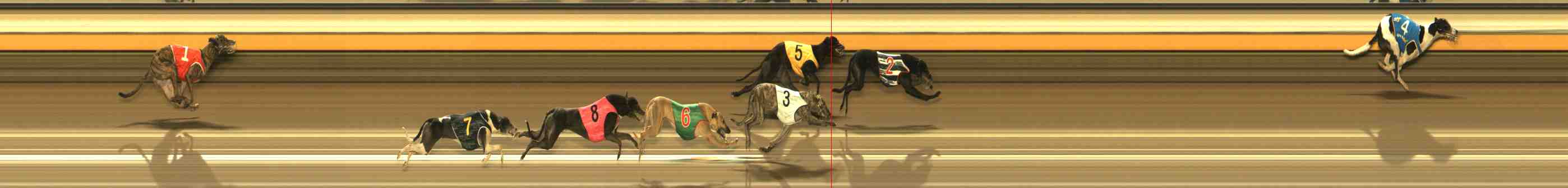 Photo finish for Warrnambool Race 12