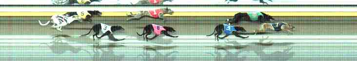 Photo finish for Warrnambool Race 13