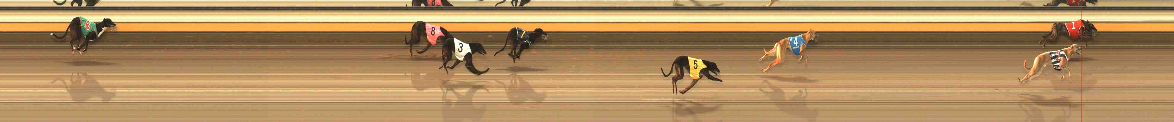 Photo finish for Warrnambool Race 1