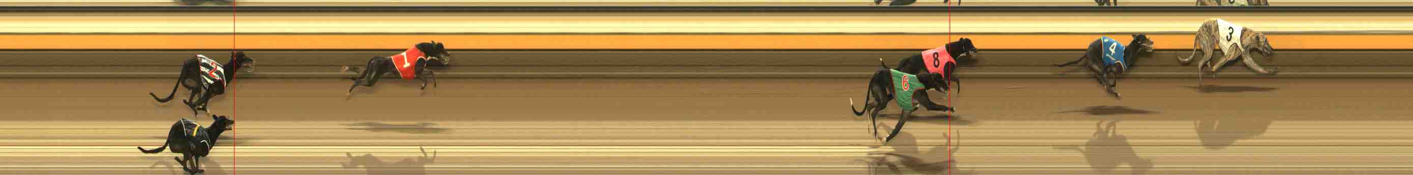 Photo finish for Warrnambool Race 2