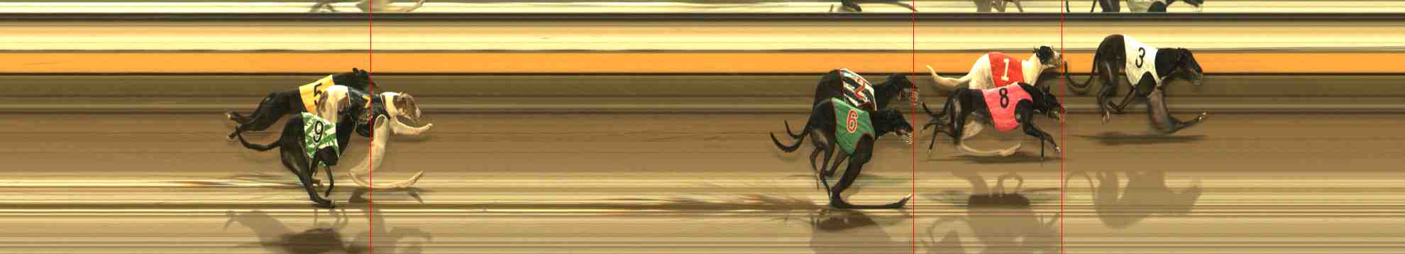 Photo finish for Warrnambool Race 3