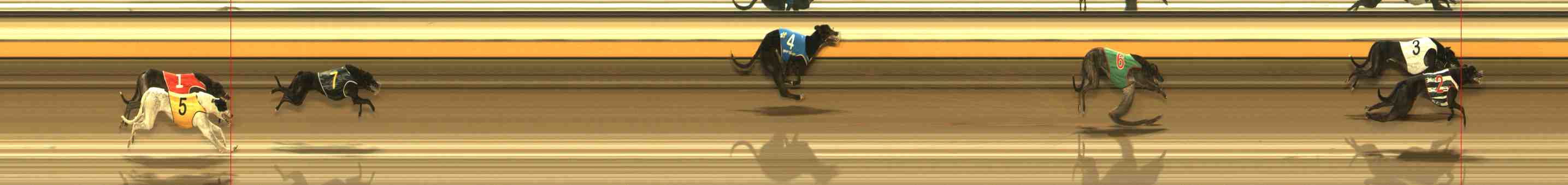 Photo finish for Warrnambool Race 4