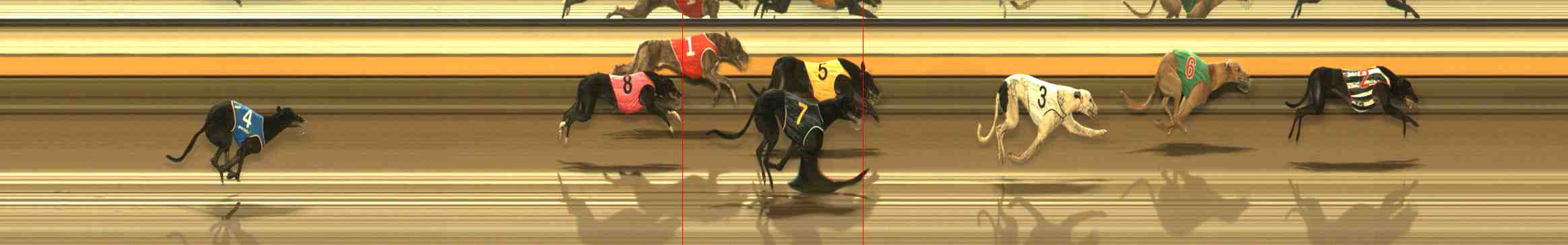Photo finish for Warrnambool Race 5