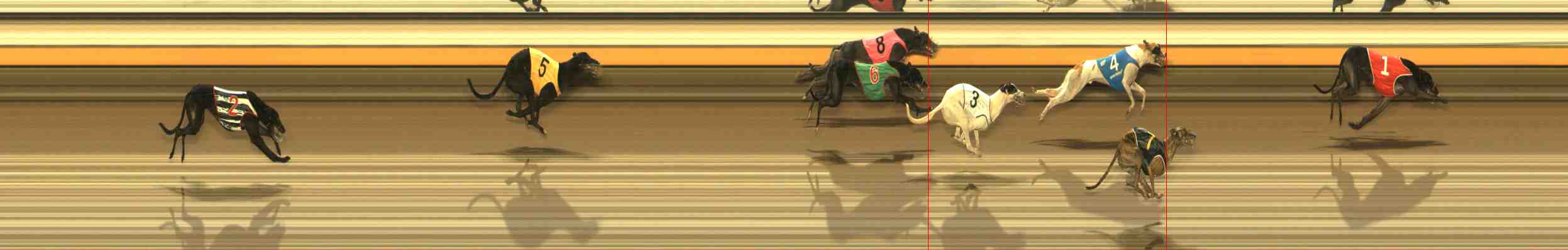 Photo finish for Warrnambool Race 6
