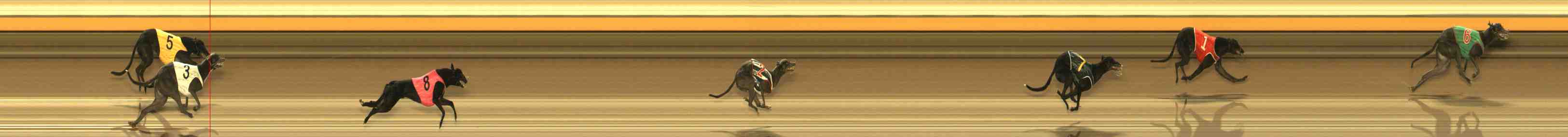 Photo finish for Warrnambool Race 7