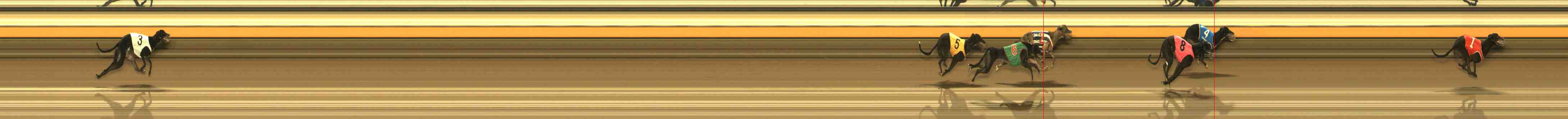 Photo finish for Warrnambool Race 8