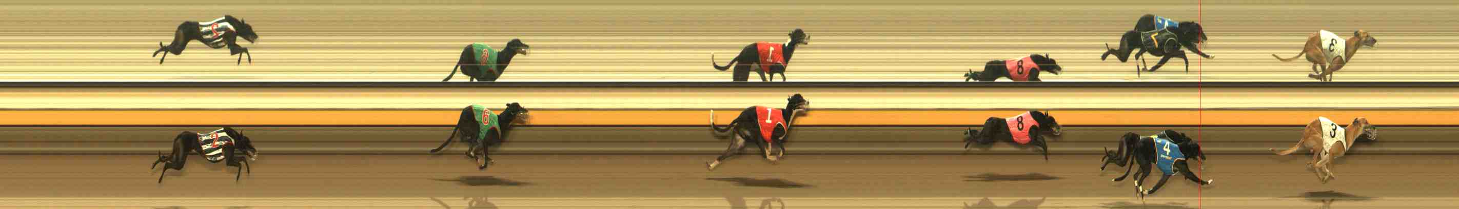Photo finish for Warrnambool Race 9
