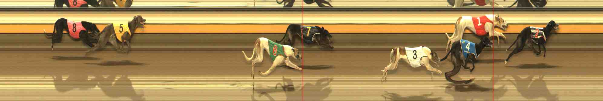 Photo finish for Warrnambool Race 10