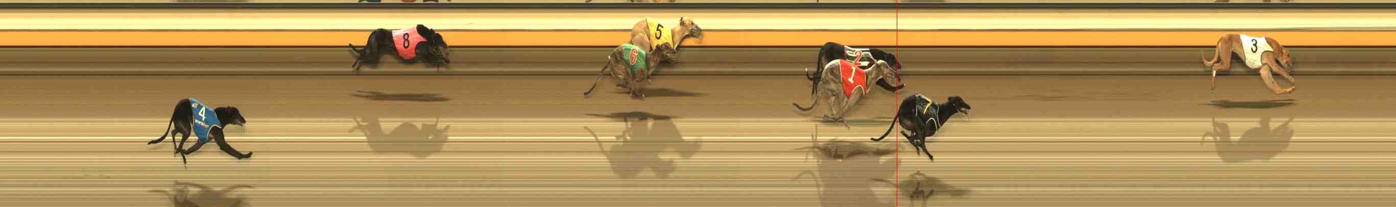 Photo finish for Warrnambool Race 11