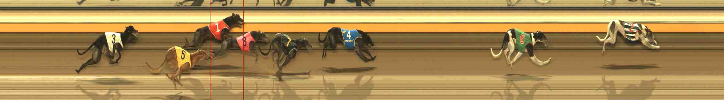Photo finish for Warrnambool Race 12