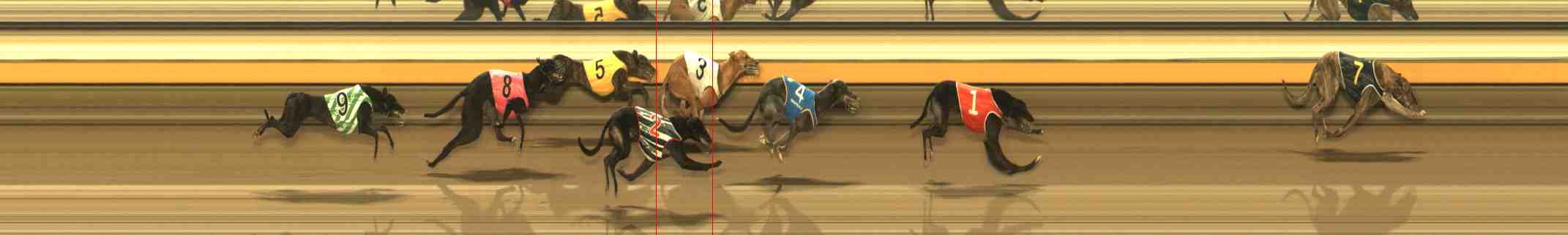 Photo finish for Warrnambool Race 13